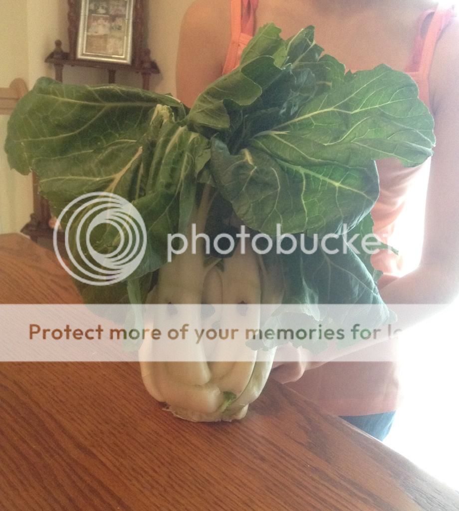 Posted Image