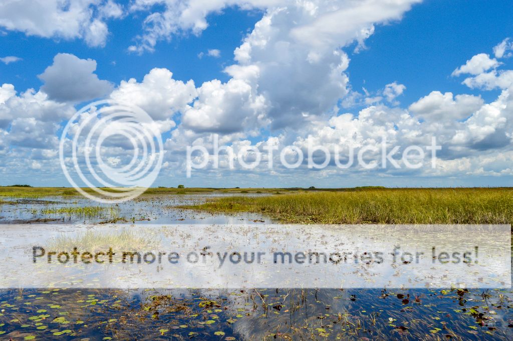photo Everglades panorama