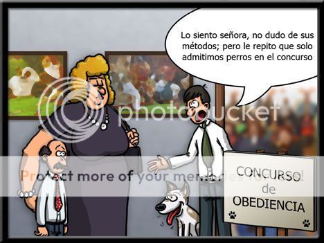 apuesto apuesto