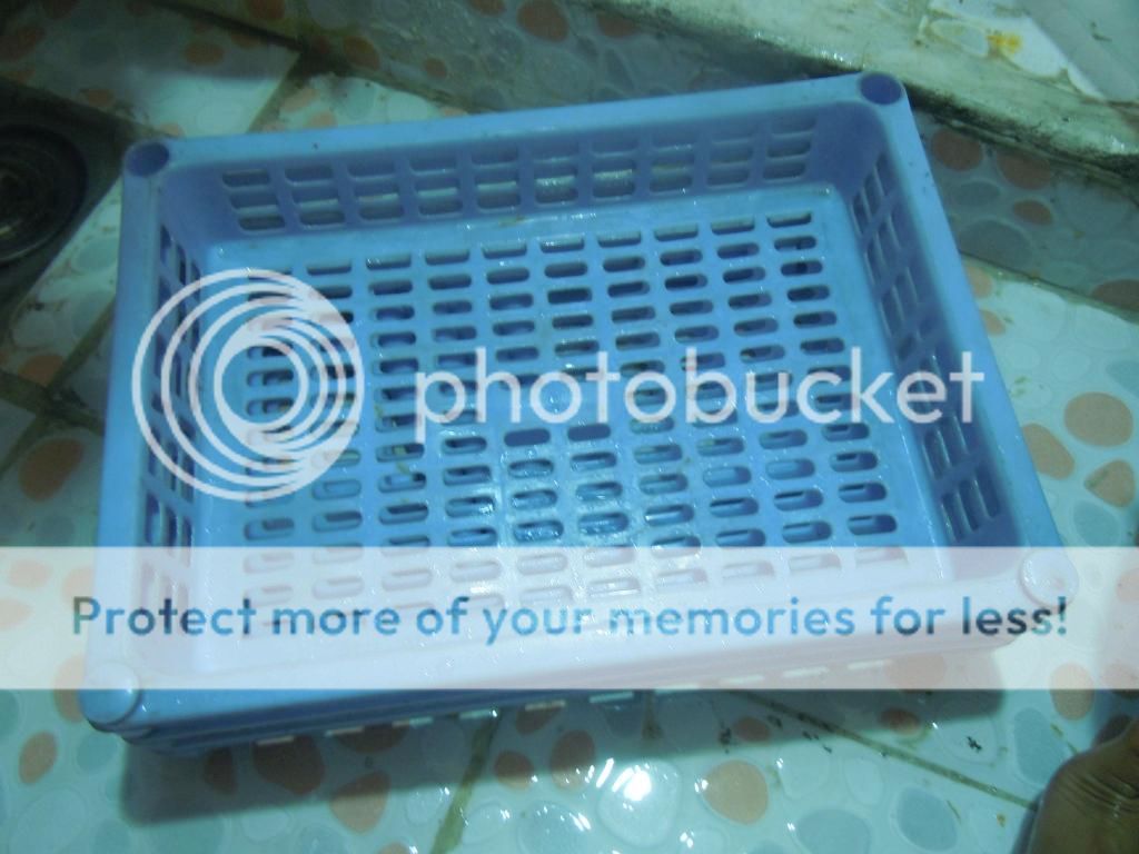 Bánh kem(sữa)..Cô Chủ Nhỏ..Ồ NGỘ GHÊ..khai trương topic mới - 12