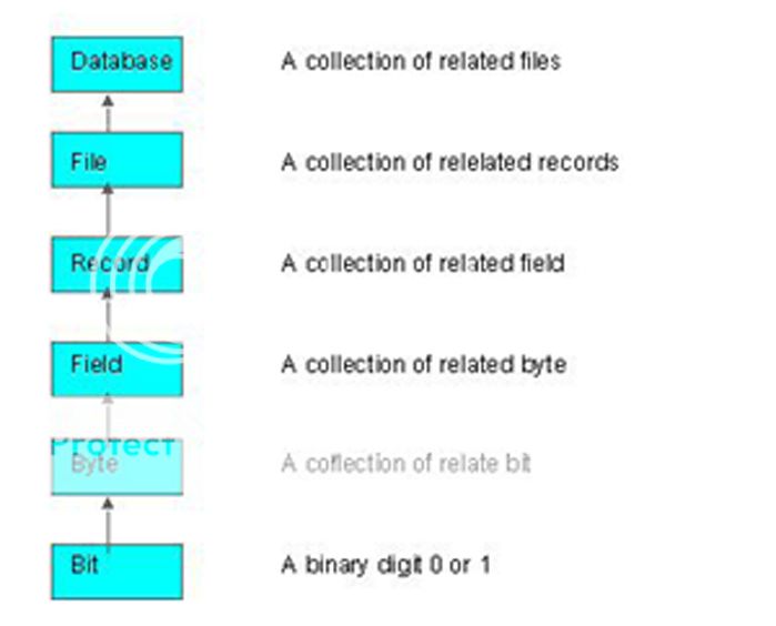 hdata_zps525036be.jpg
