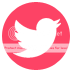  photo twitterbird_zpsf0919624.png