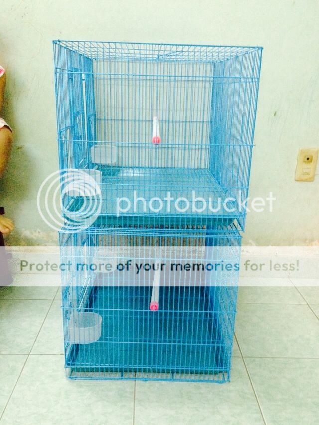 Lồng chim inox mới - 4