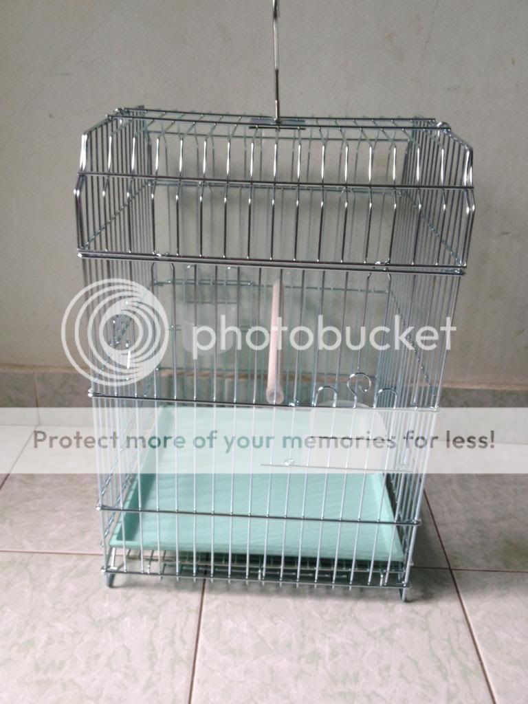 Lồng chim inox mới - 1