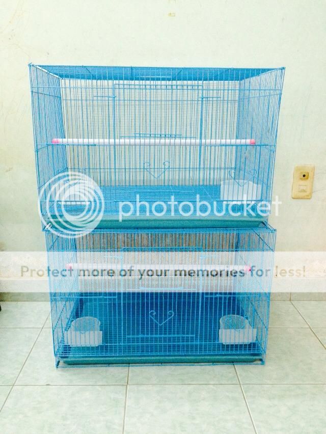 Lồng chim inox mới - 3