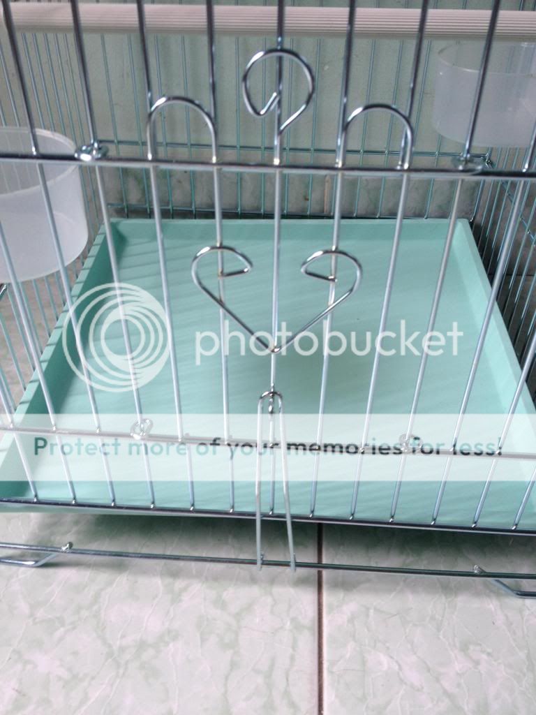 Lồng chim inox mới - 2