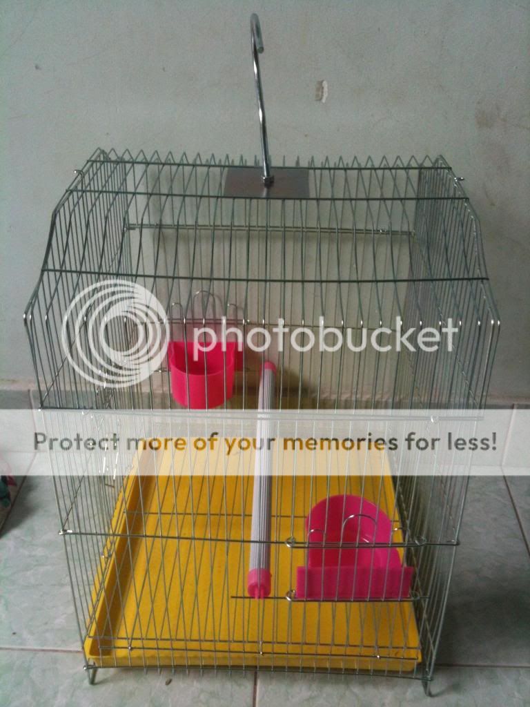 Lồng chim inox mới - 3