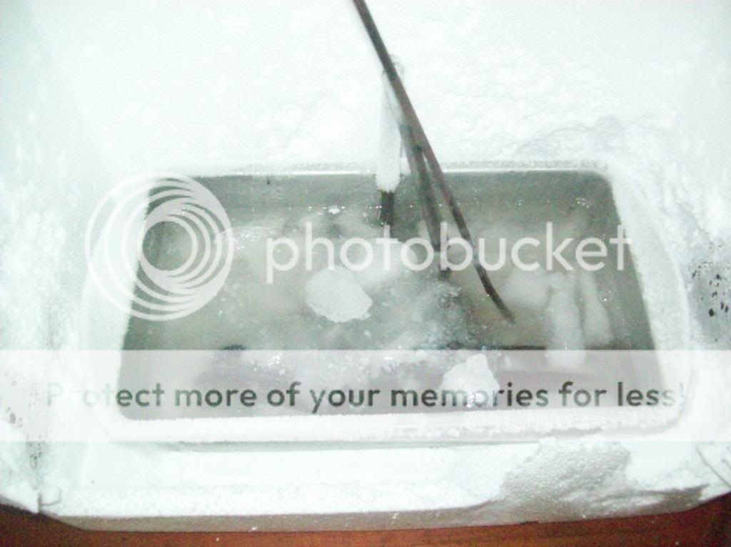 Dry Ice/ Acetone temp (pics)