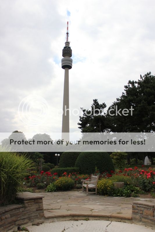 Gladbeck single